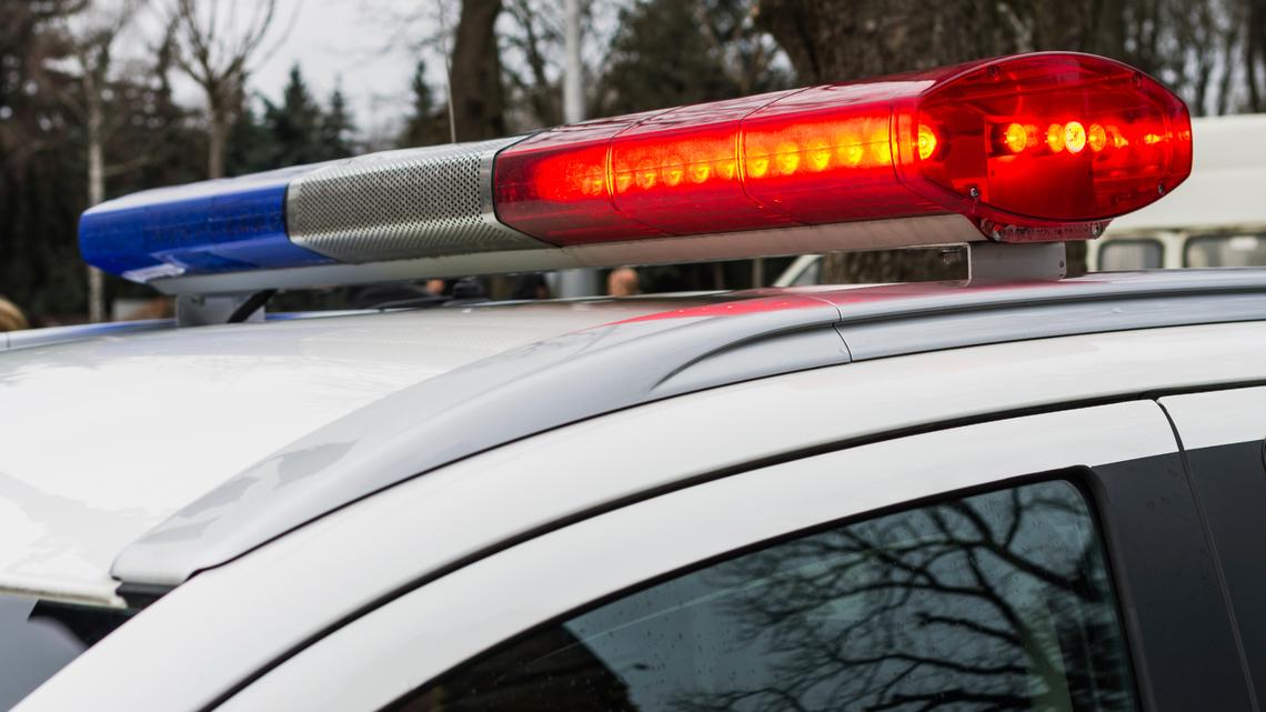 The Penbrook Borough Police Department in Pennsylvania has captured two dogs that cornered two children and sent a woman to the hospital earlier this month, according to a release.