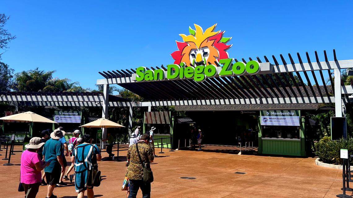 The San Diego Zoo, which house than 12,000 animals, pictured on July 3, 2024.