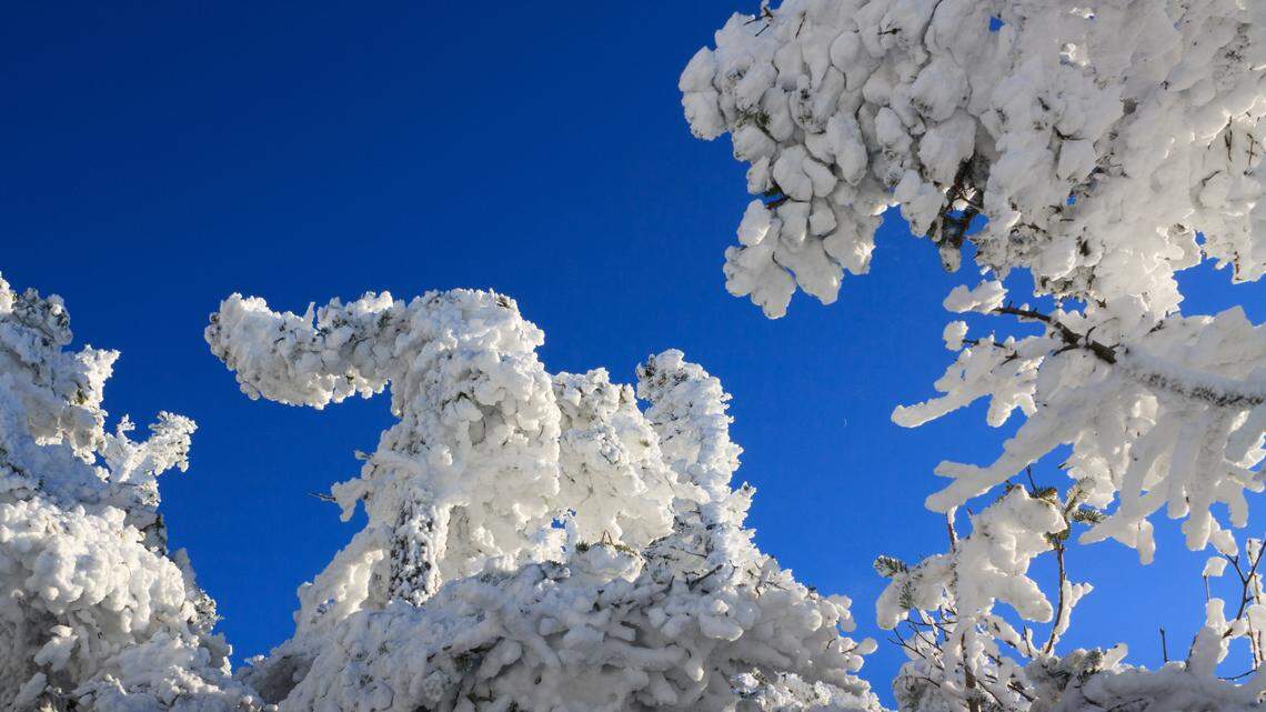 A Canadian woman was hiking Falling Waters Trail in Lincoln with her partner in a group when they got separated on Friday, March 8, officials said.