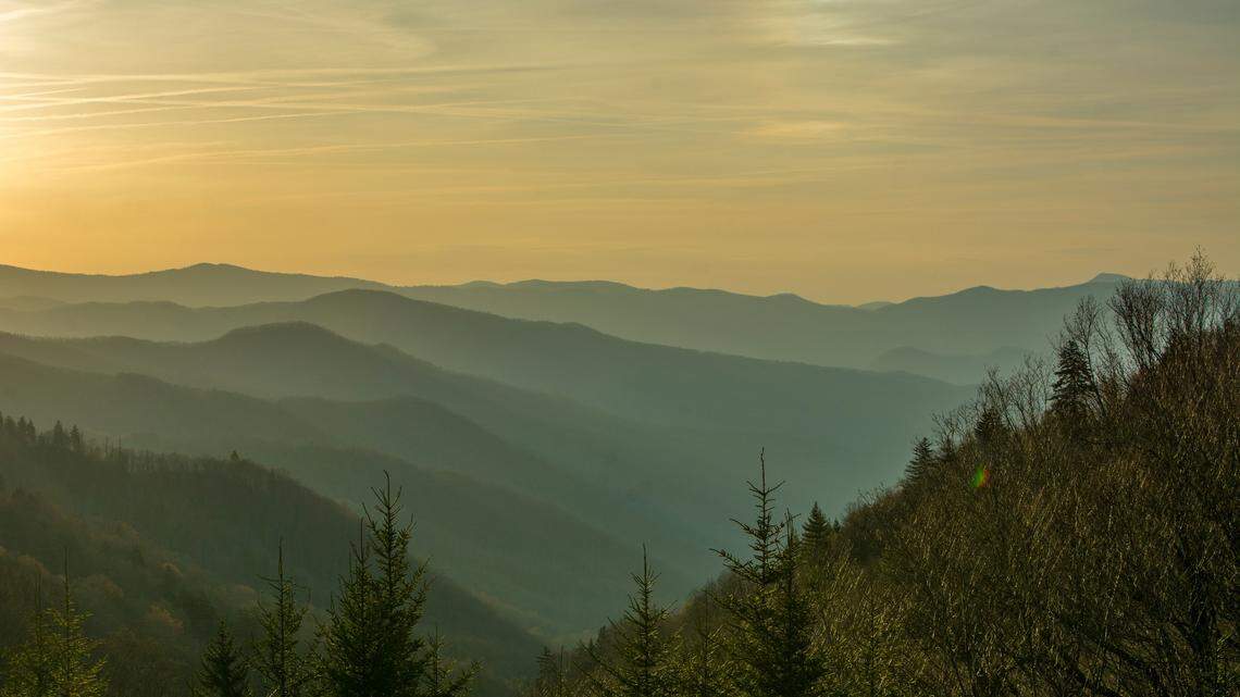 A storm front accompanied by 85-mph gusts has begun toppling trees in Great Smoky Mountains National Park, prompting major roads to close, according to the National Park Service.
