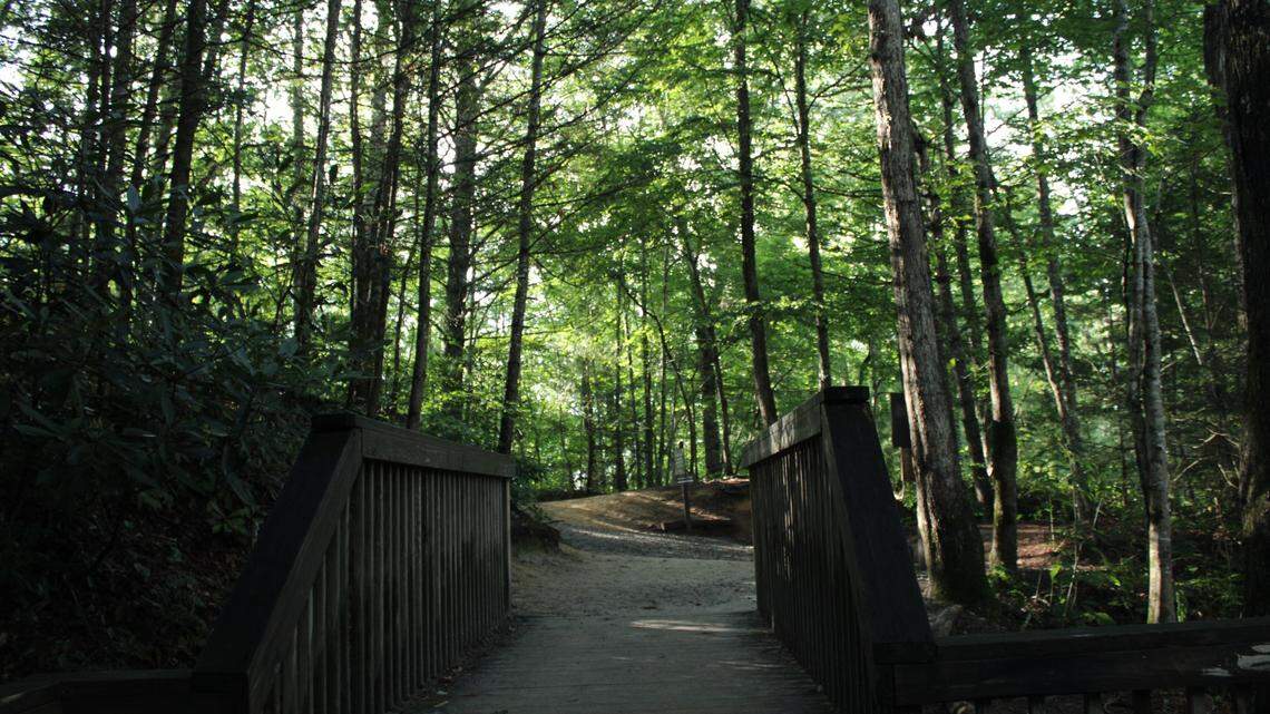 The body of a missing woman from Virginia has just been found in Tennessee when hunters were setting up a deer stand, deputies said.