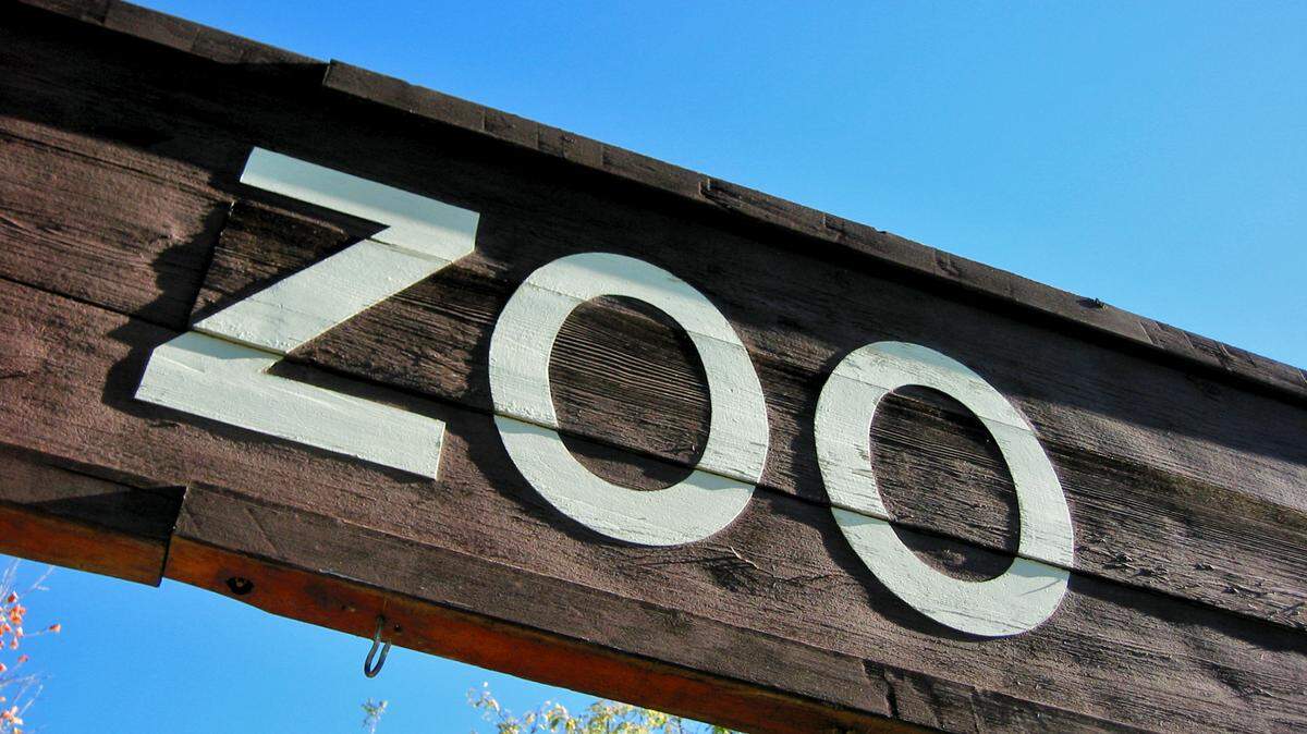 A Michigan zoo announced its first gorilla birth.