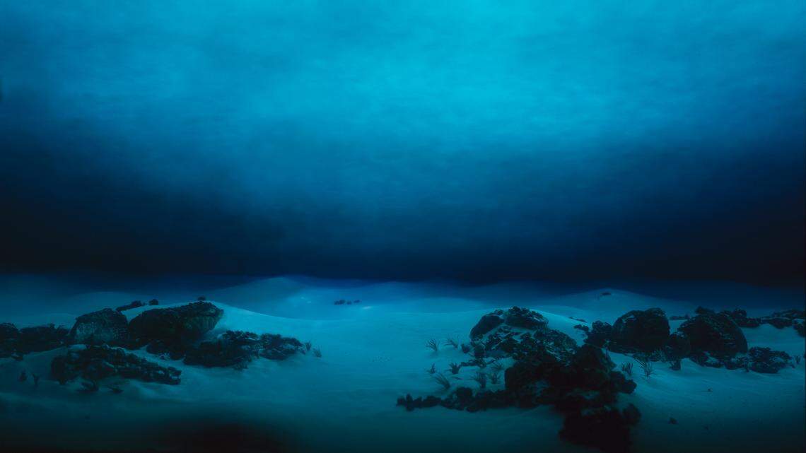 Around the deep-sea vents off the southern coast of Japan, a small, “glass”-like creature was discovered.