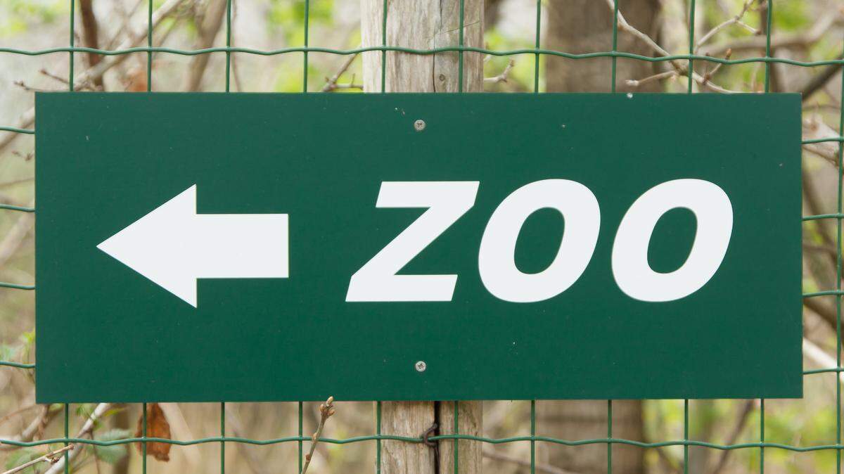 Brights Zoo in Tennessee said it welcomed its newborn giraffe in late July.
