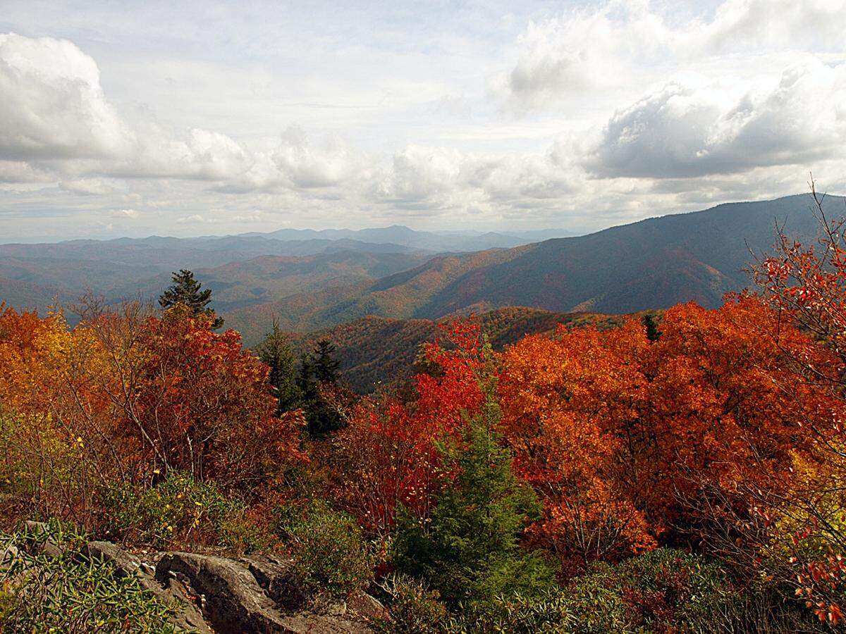 A panoramic view of rolling mountains covered in vibrant autumn foliage under a cloudy sky. The foreground features brilliant red, orange, and yellow leaves, with patches of evergreen trees scattered throughout.