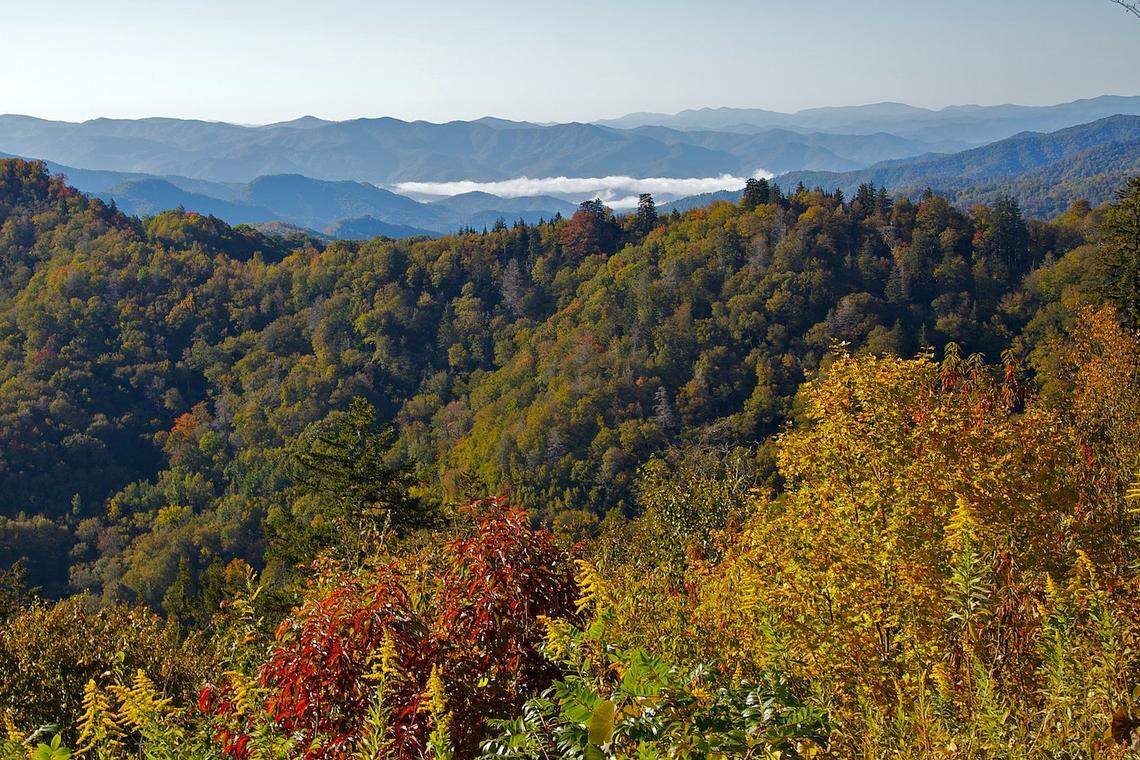 A view of a mountain range with layers of blue, hazy peaks in the distance. The foreground is filled with trees in the midst of changing autumn colors, with a low-lying cloud nestled between two ridges.