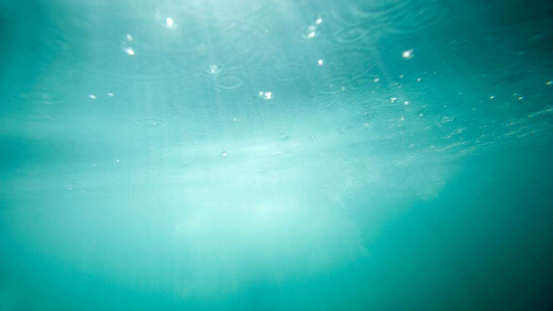 Scientists found a sandy sea creature with “transparent” tentacles off Spain and discovered a new species, a study said.
