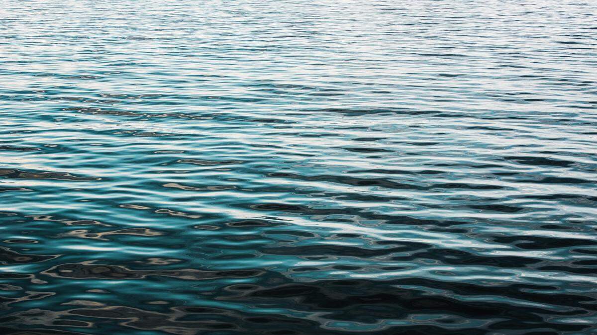 Boaters off the coast of California saw sea creatures feeding, the group said.