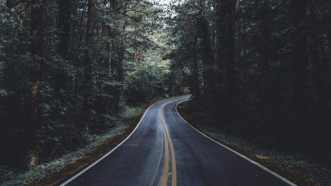 A deputy in eastern Tennessee shot a bear guarding the body of a motorcyclist after multiple attempts to scare off the animal failed, officials said.