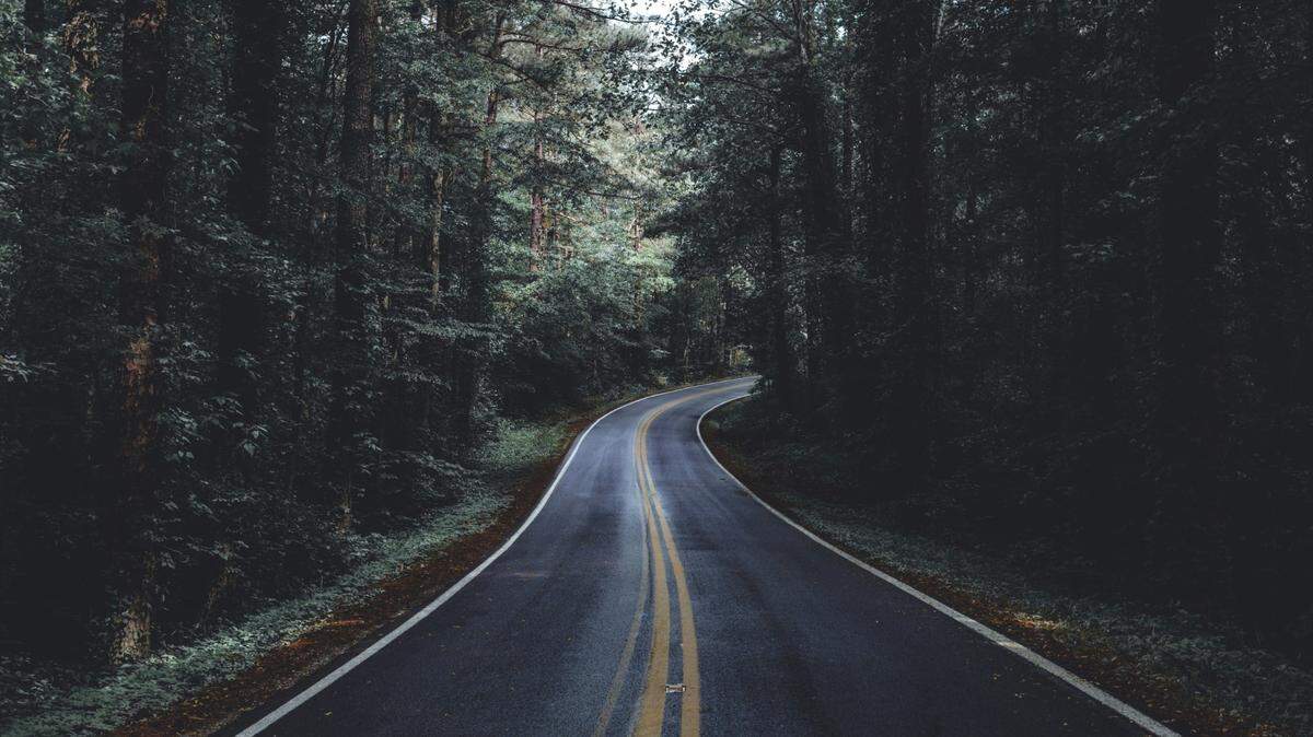 A deputy in eastern Tennessee shot a bear guarding the body of a motorcyclist after multiple attempts to scare off the animal failed, officials said.