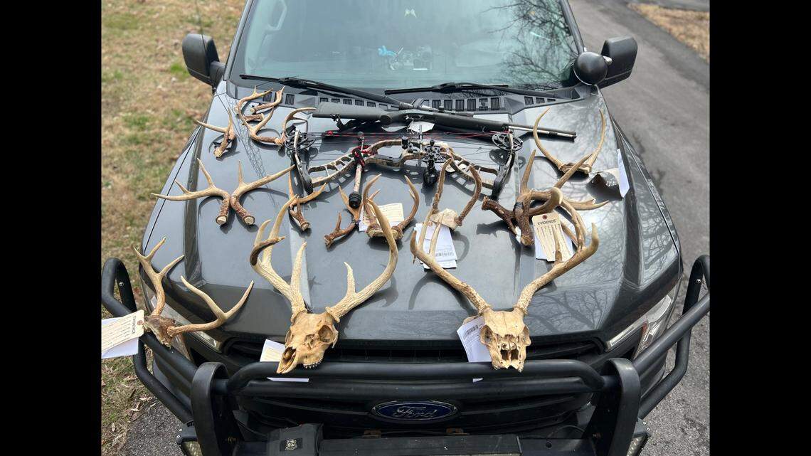Investigators found 11 sets of poached deer antlers at the home of a 22-year-old hunter who just pleaded guilty to hunting violations and aggravated assault, Tennessee wildlife officials say.