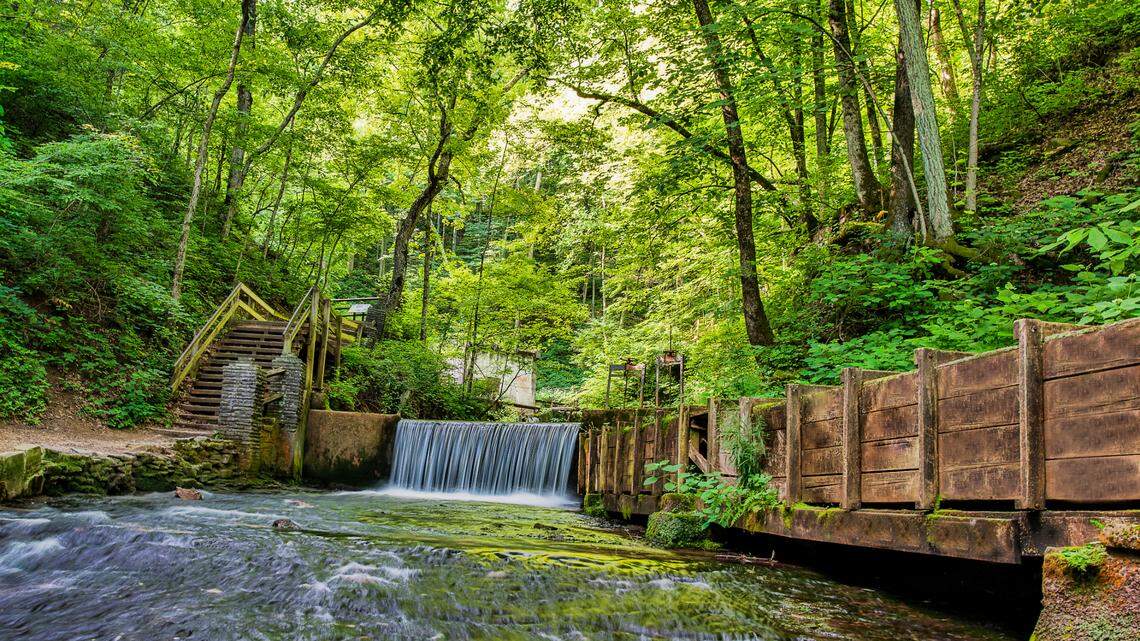 Since its arrival at Spring Mill State Park, it has lingered near the Lakeview Activity Center, officials said.