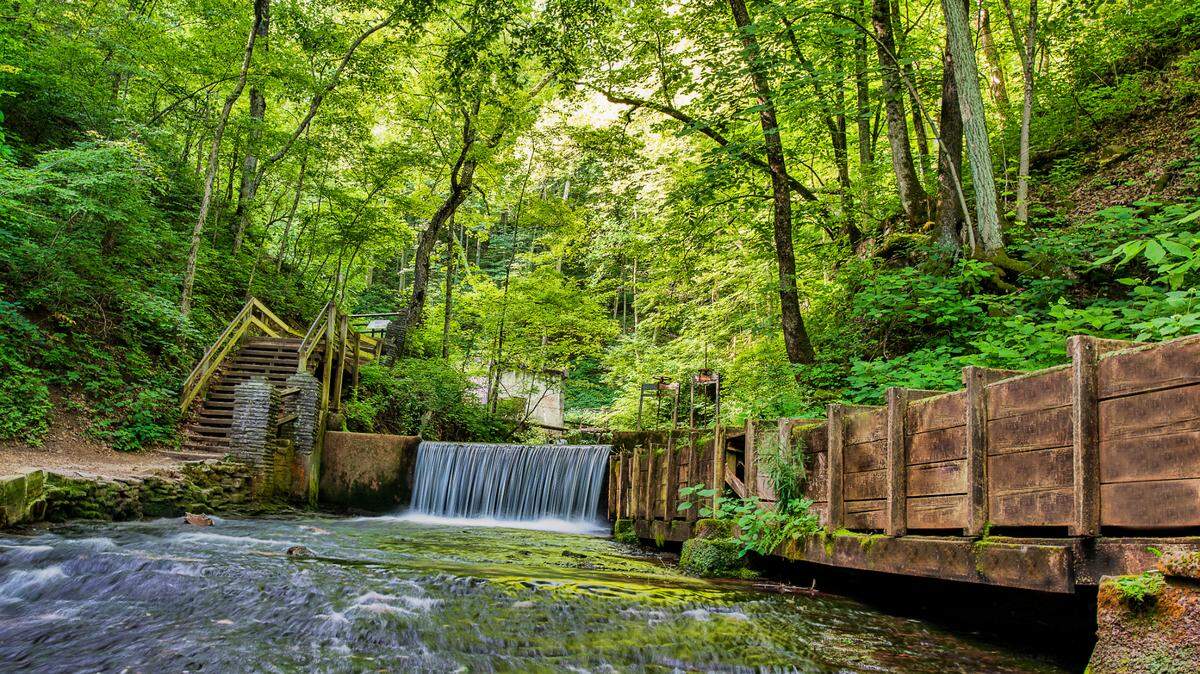 Since its arrival at Spring Mill State Park, it has lingered near the Lakeview Activity Center, officials said.