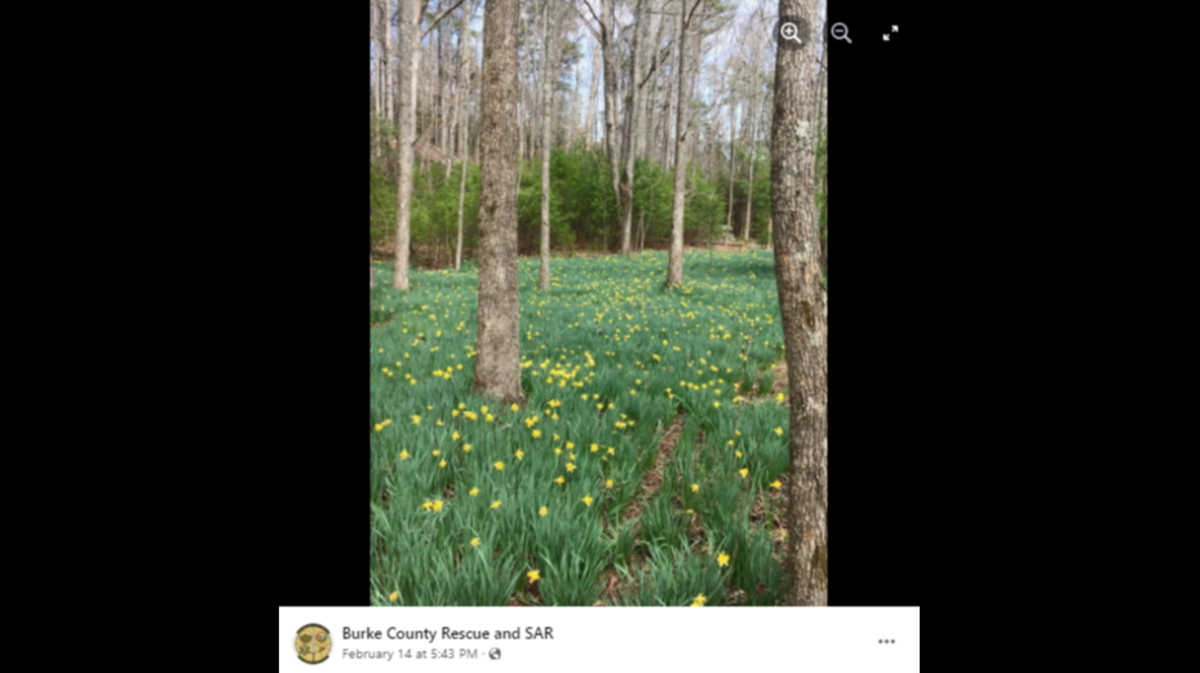 The popular hiking spot can be dangerous for inexperienced hikers, North Carolina rescuers said.