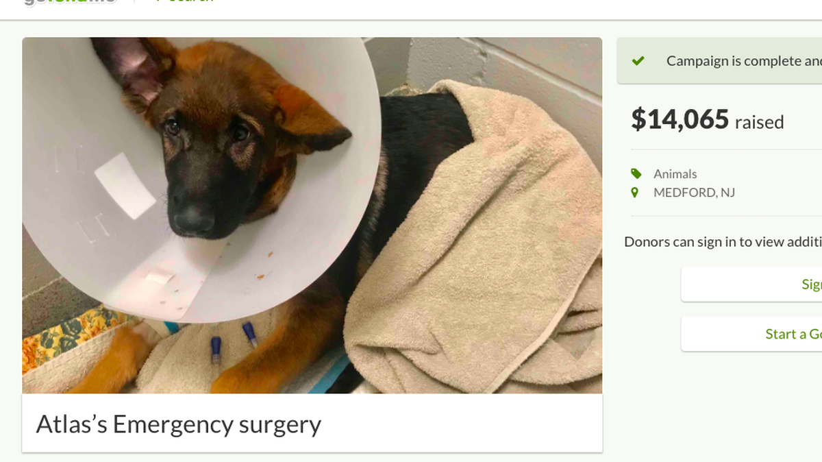Police say a Shamong, New Jersey man y acquired a dog, then intentionally injured him over six weeks so severely that the dog needed surgery. Police say he made a fake GoFundMe page to raise money for 'emergency surgery.’ It raised more than $14.000