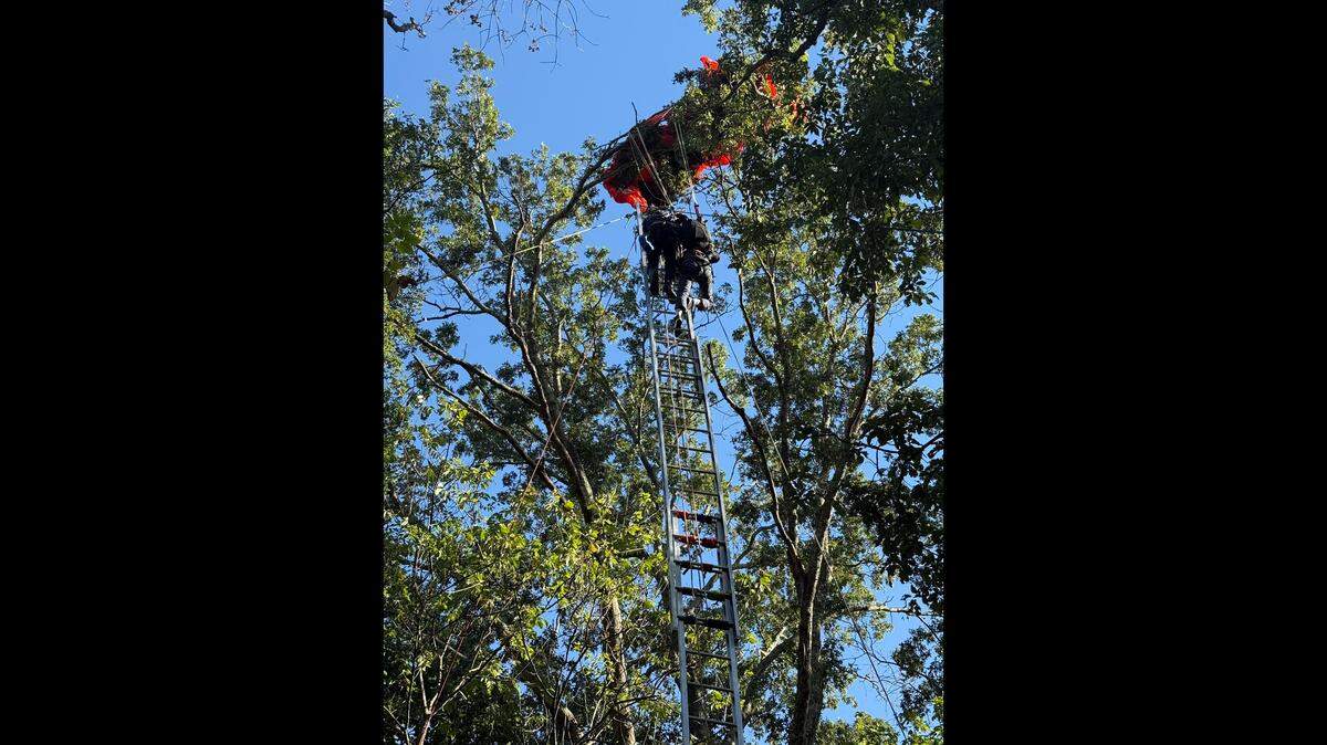 Fire crews worked to rescue a skydiver stuck in a tree in Nashville. 