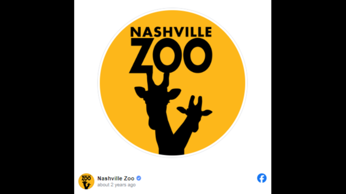 The “elusive” species is native to Madagascar, the Tennessee zoo said on Facebook.