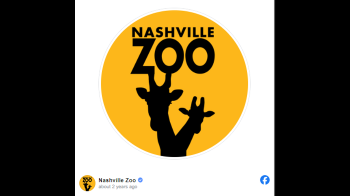 The “elusive” species is native to Madagascar, the Tennessee zoo said on Facebook.