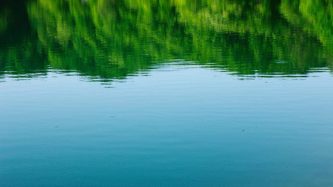 Two anglers fishing at a West Virginia lake set state records within two hours of each other, officials said.