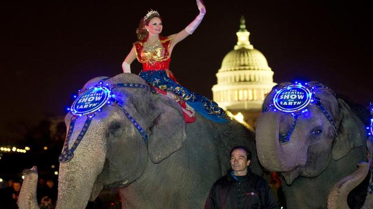 
A performer rides an elephant with the Ringling Bros. and Barnum & Bailey show in front of the Capitol in Washington in 2013. The circus plans to phase out the show's elephants from its performances by 2018.


