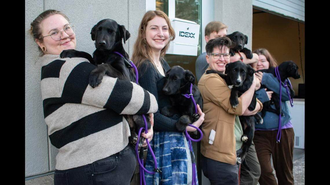Six puppies needed homes, and a North Carolina farm owner didn’t waste time.