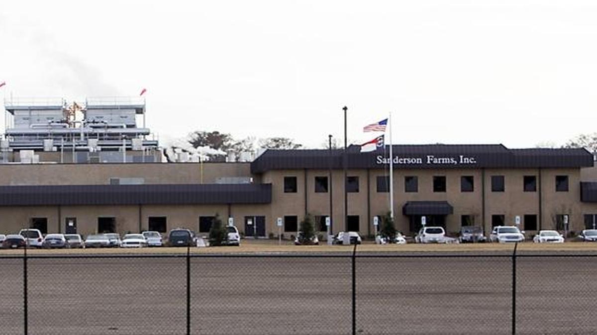 PETA says it found abuses at the Sanderson Farms poultry plant in Kinston; the company says it investigated but found no evidence that any abuses had occurred.