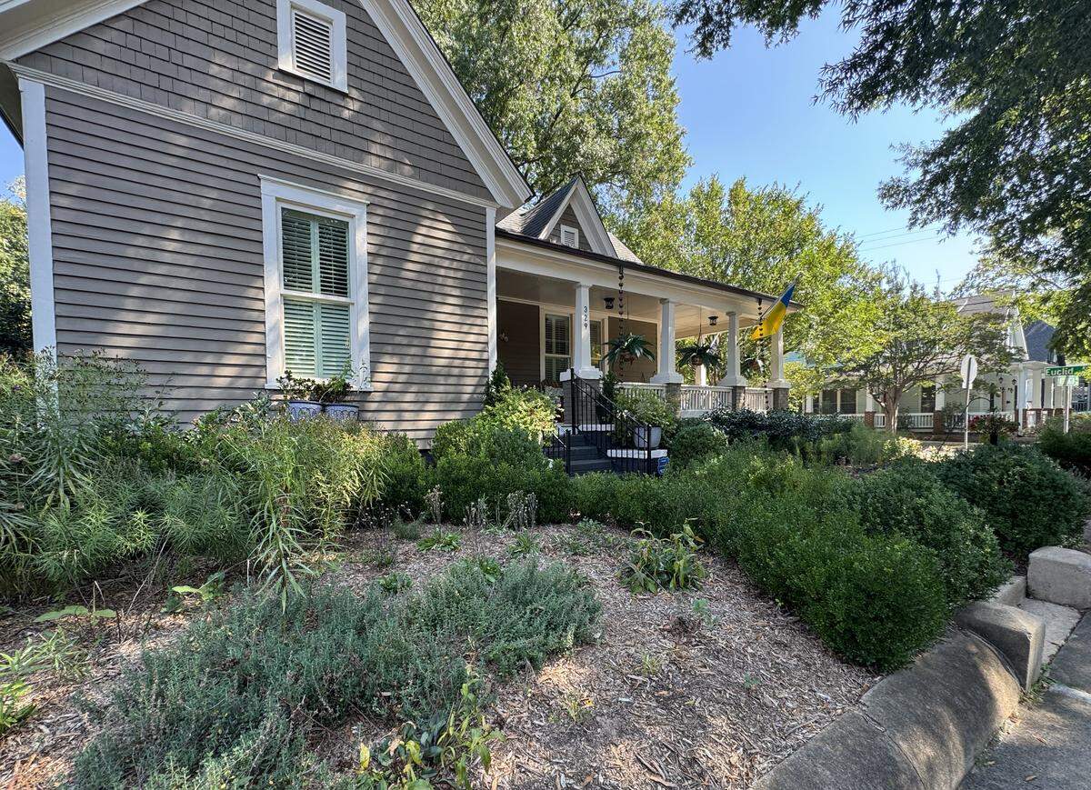 Lou Lesesne's yard has multiple flowering plants 