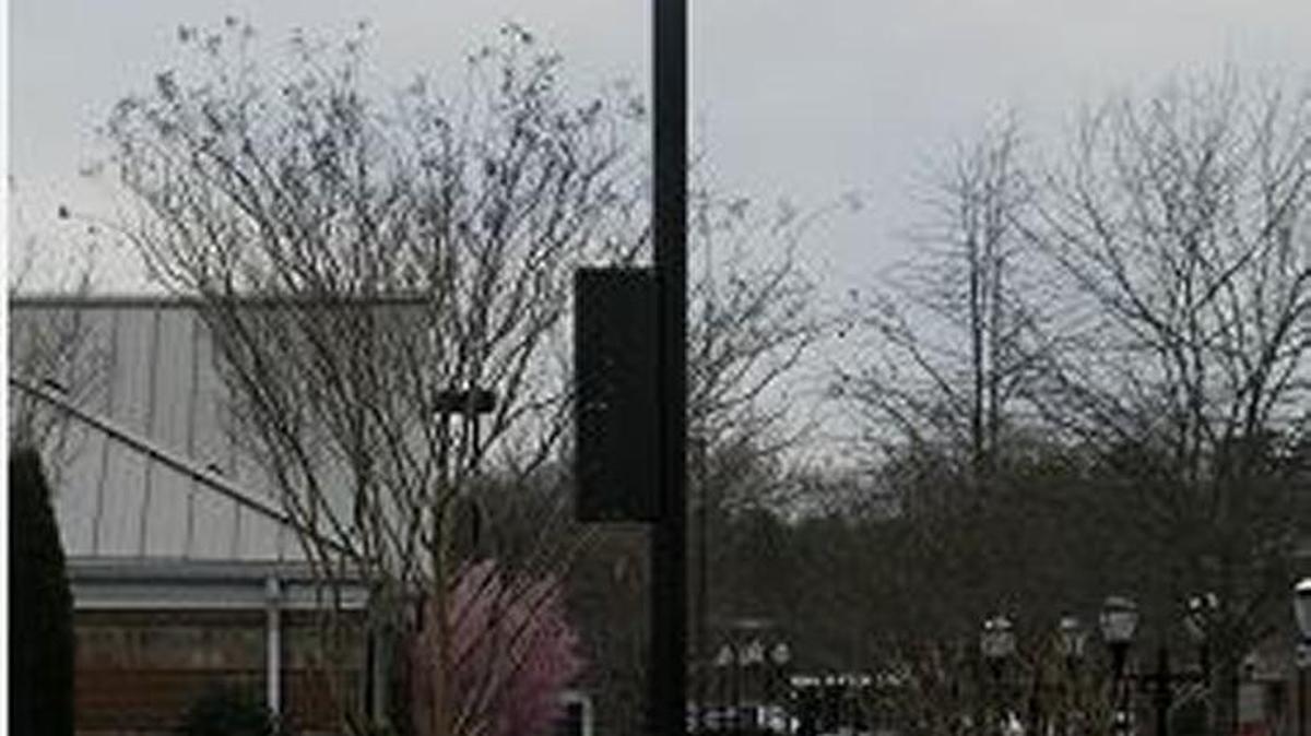 Crown Castle built this cellphone pole in Blakeney.