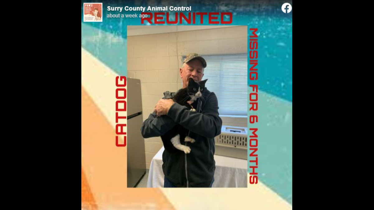 A pet owner reunited with his cat six months after she disappeared, North Carolina officials said.