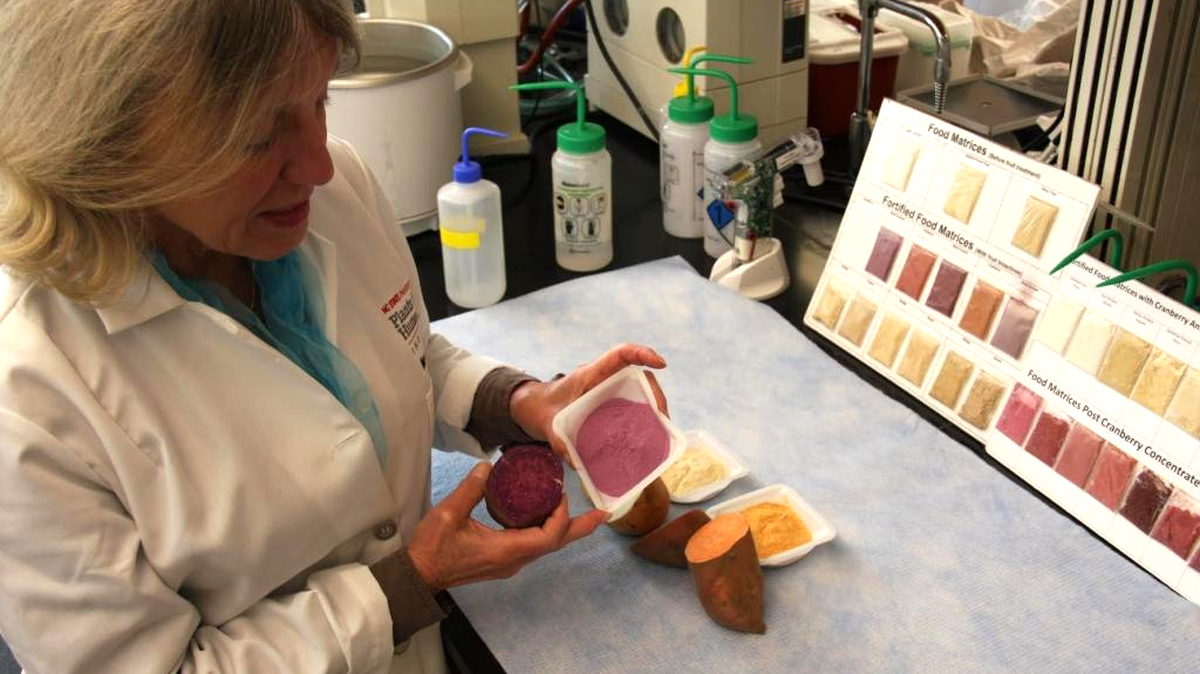 Mary Ann Lila, director of N.C. State’s Plants for Human Health Institute, at the North Carolina Research Campus, in Kannapolis, recently led research she hopes will inspire consumers to maximize sweet potatoes’ health benefits year-round.