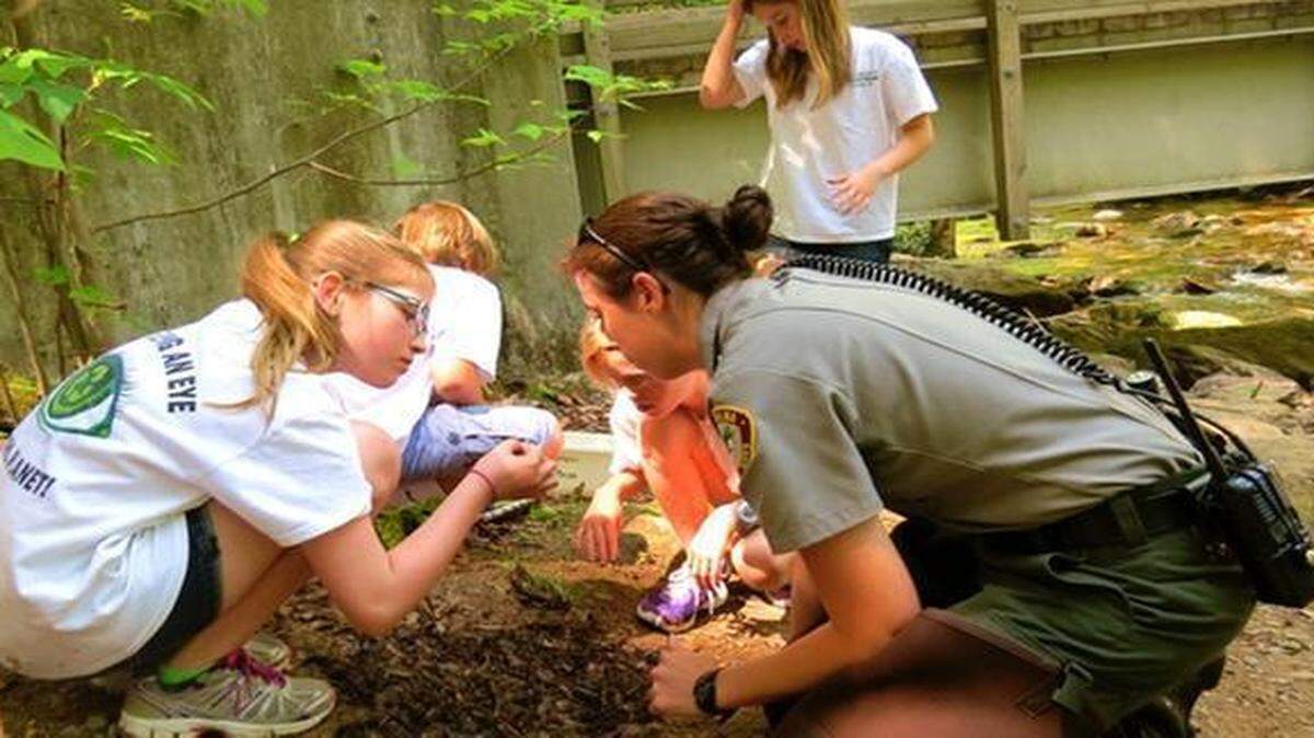 
A park ranger helps Charlotte County Day students identify what they find in the stream after releasing the trout. Students get firsthand experience in appreciating the importance of water quality.
