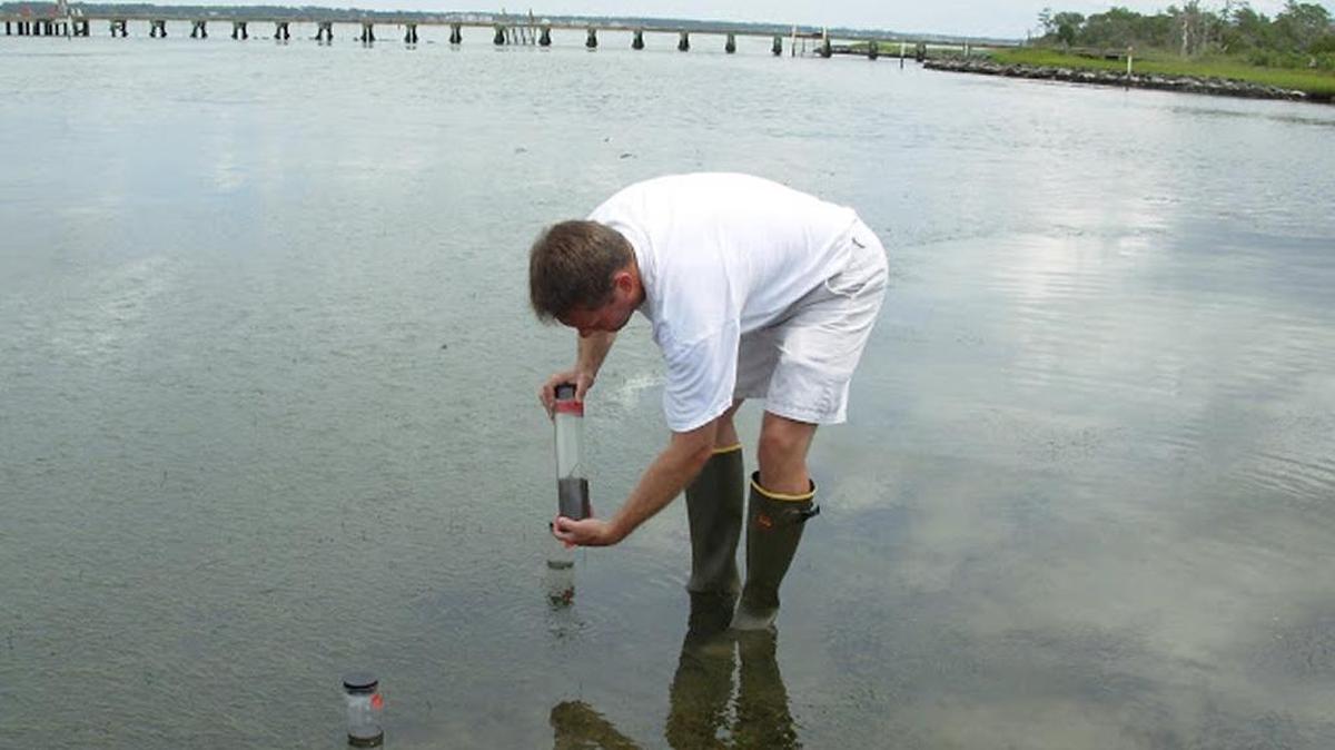 Michael Piehler, associate professor of marine environmental science at the Institute of Marine Sciences in Morehead City, says crabs and oysters respond differenty to acidification of estuaries.