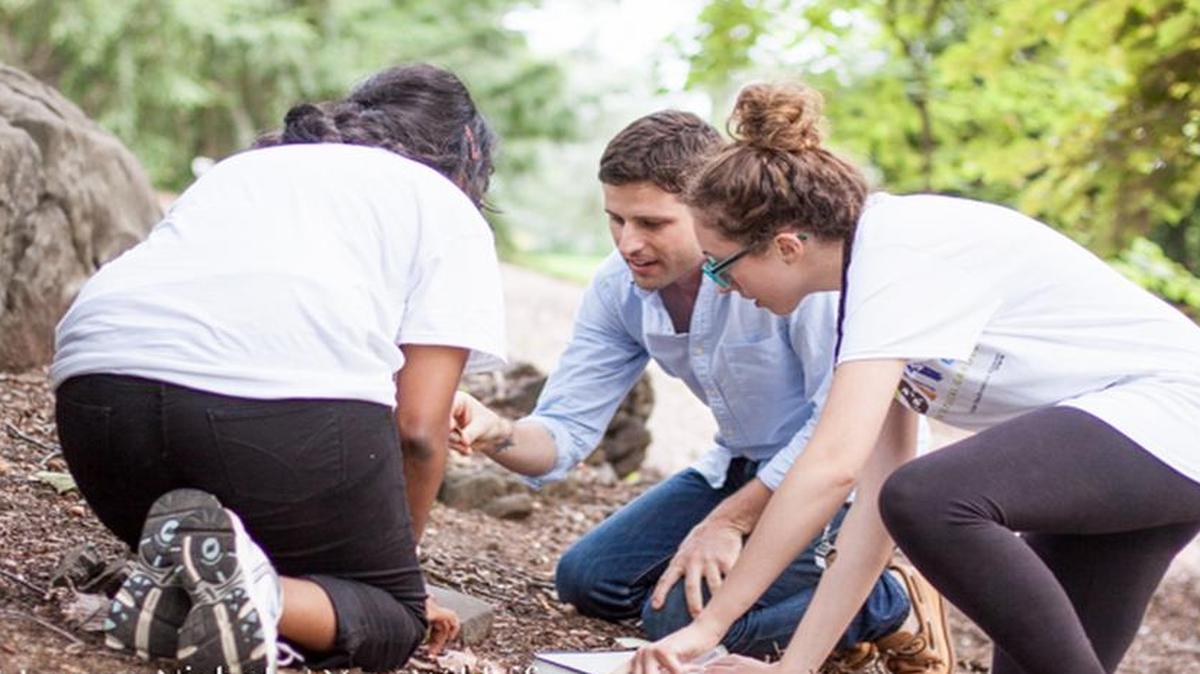 N.C. State researcher Clint Penick, center, studies ants in the field.