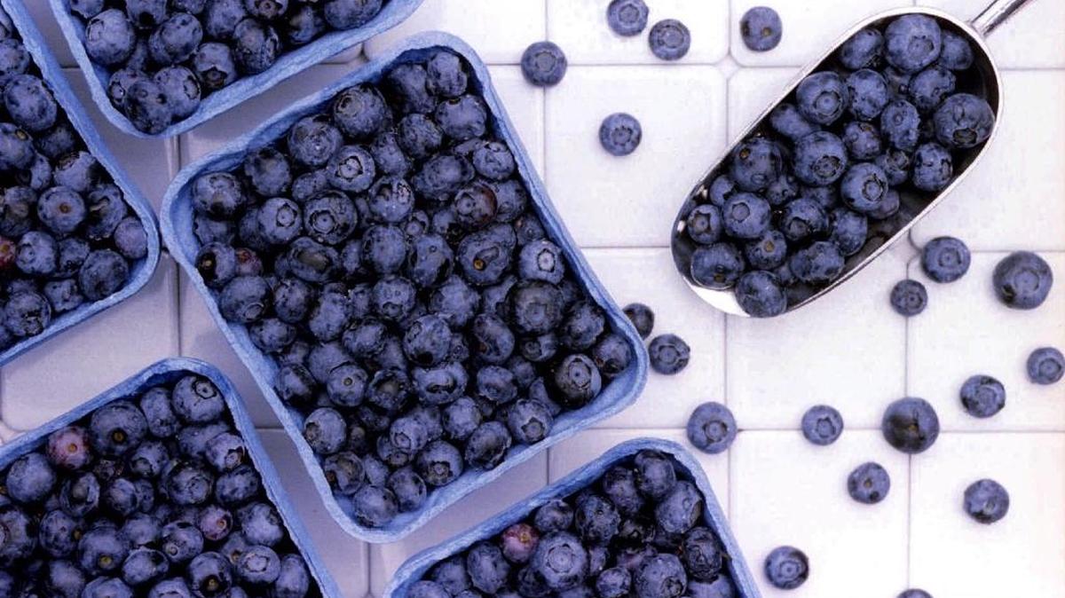 
Wild blueberries: Wild blueberry extract could help prevent formation of dental plaque.
