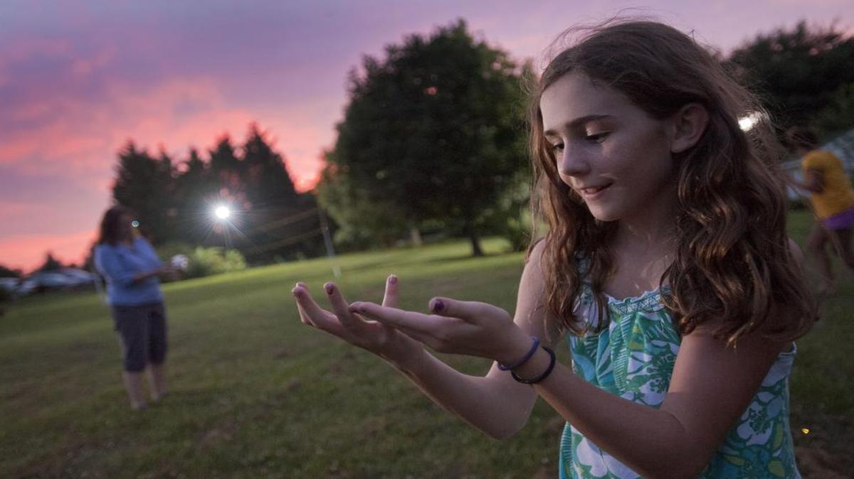 
Gloria McComas catches fireflies in her yard in Woodbine, Md., in June 2011. 
