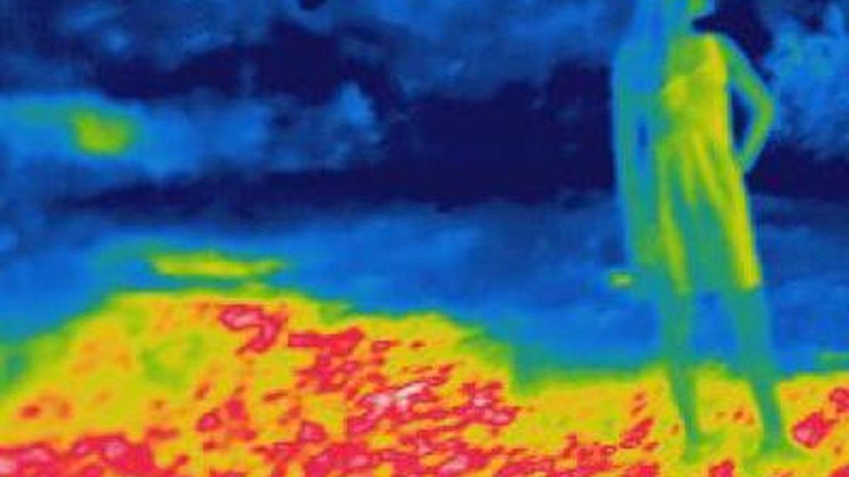 A thermal image from a sunlit patch of grass in Central Park in New York: Mosquitos seek out heat to help them find blood. Researchers are examining the molecular mechanisms behind this behavior.