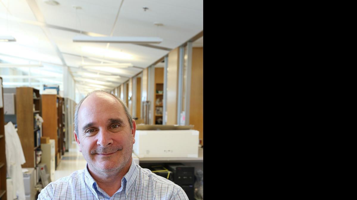 
UNC-Chapel Hill genetics professor Fernando Pardo-Manuel de Villena: A study of mice finds RNA from inherited from male parent has bigger-than-expected effect and, he said, “The basic molecular processes are very similar between humans and mice.”
