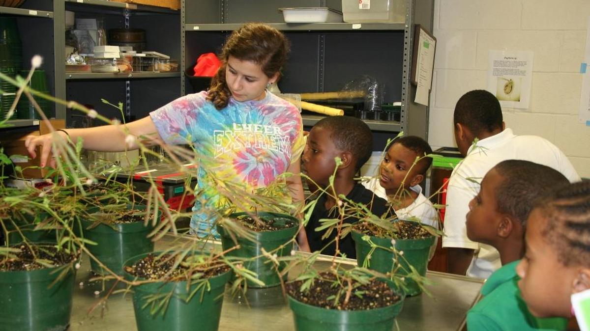 N.C. Science Festival: Citizen-science programs involving collection of data in all 41 state parks will be offered during the April festival.