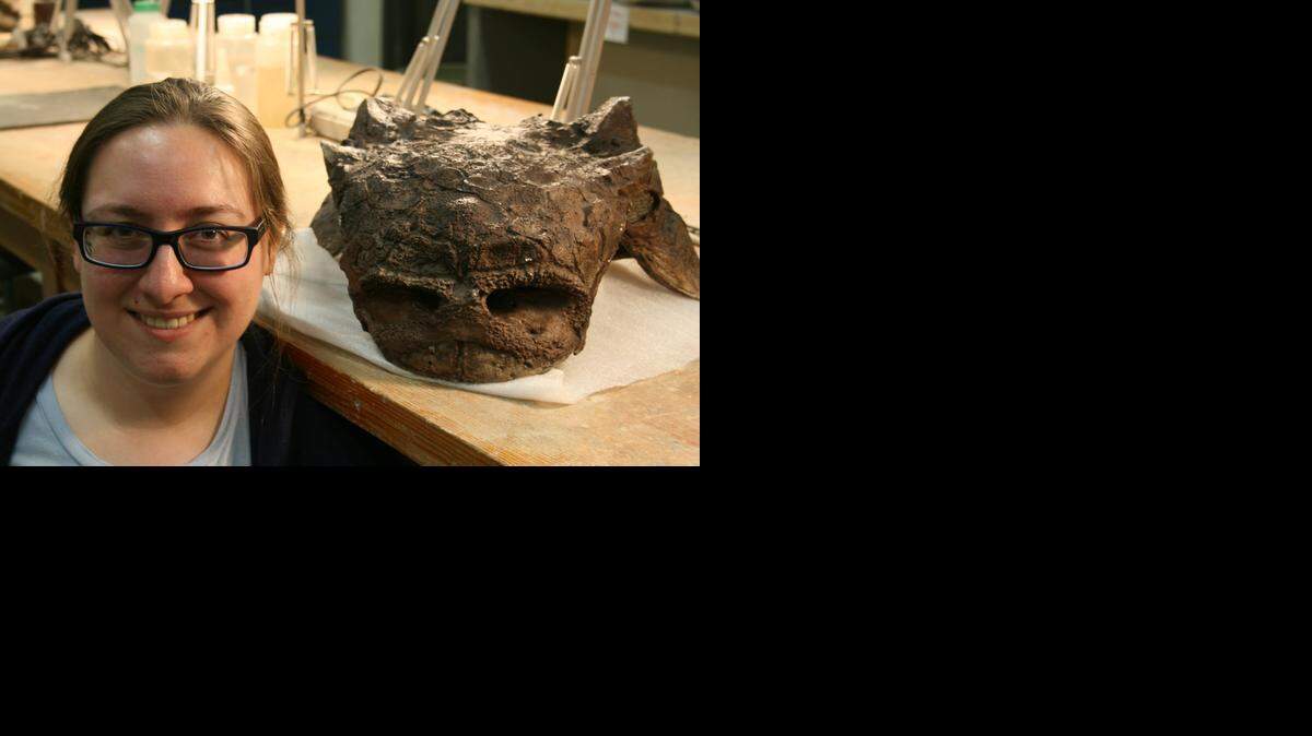 
Paleontologist Victoria Arbour, with the skull of an ankylosaurid, called Euoplocephalus, which was found in Alberta, Canada.
