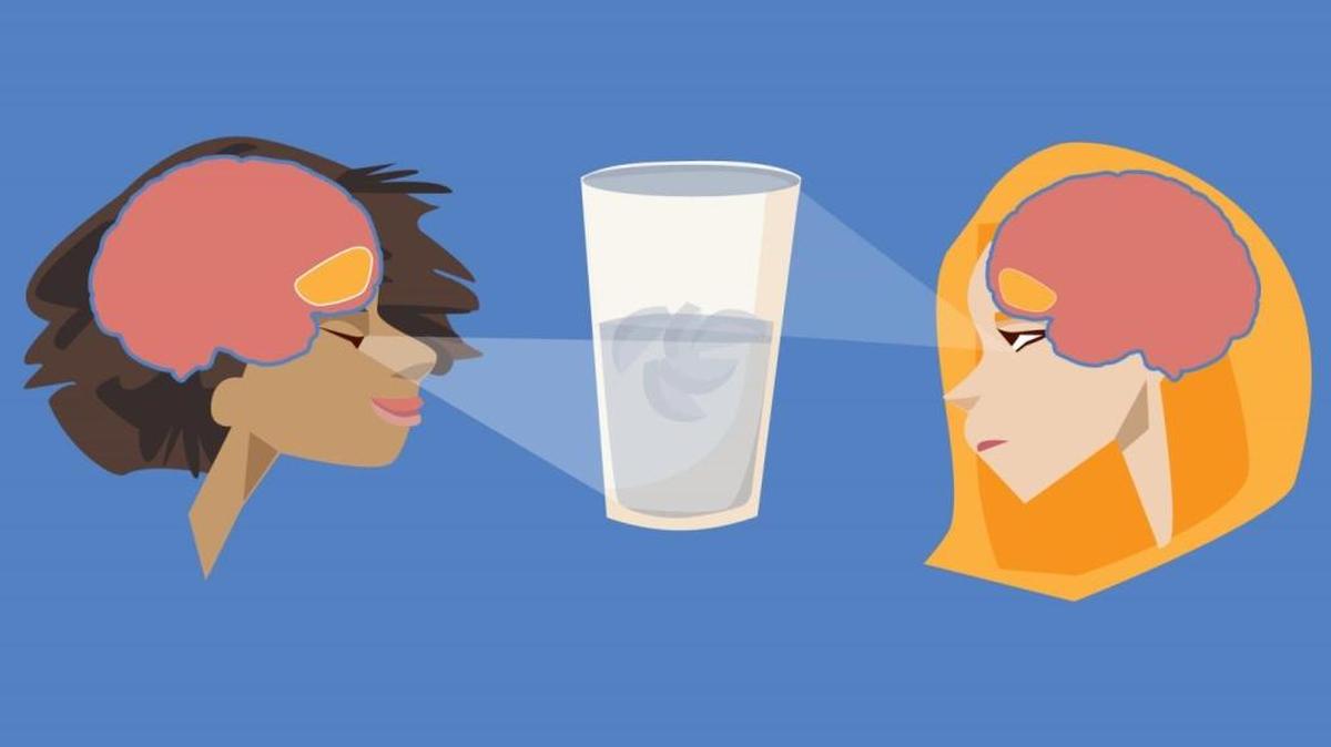 
Glass half full or half empty? What you see may depend in part on the size of your orbitofrontal cortex. Optimistic people also tend to be less anxious, research finds.
