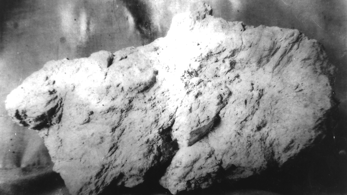 A “rock” that was tossed to the side was actually a huge piece of gold, North Carolina historians said.