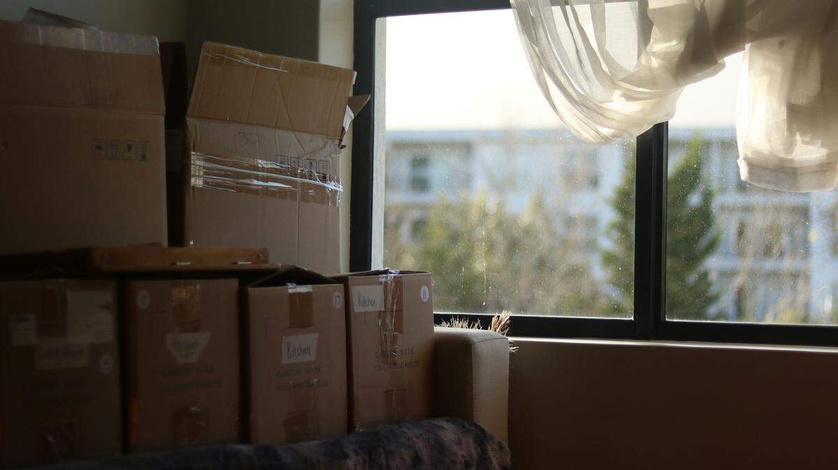 A stack of labeled, brown cardboard moving boxes sitting on a couch in a sunlit room, positioned next to a large window overlooking a blurry residential area and trees.