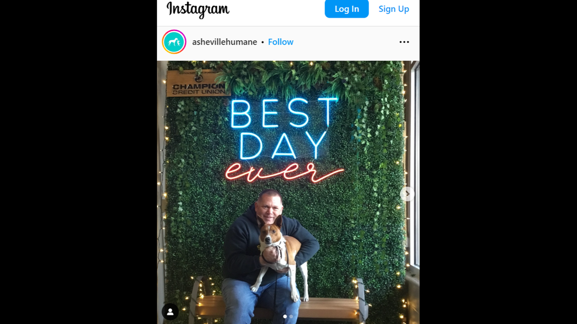 A family on a trip to North Carolina stumbled upon a shelter dog and fell in love.