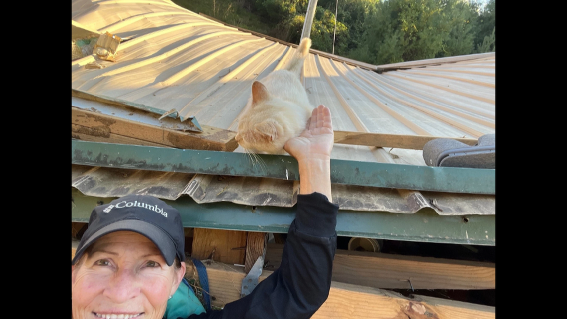Ricardo Blanco the cat was found safe more than a week after Hurricane Helene hit North Carolina.