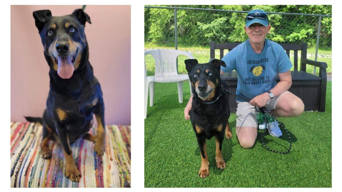 A dog struggling at a North Carolina animal shelter got a fresh start.