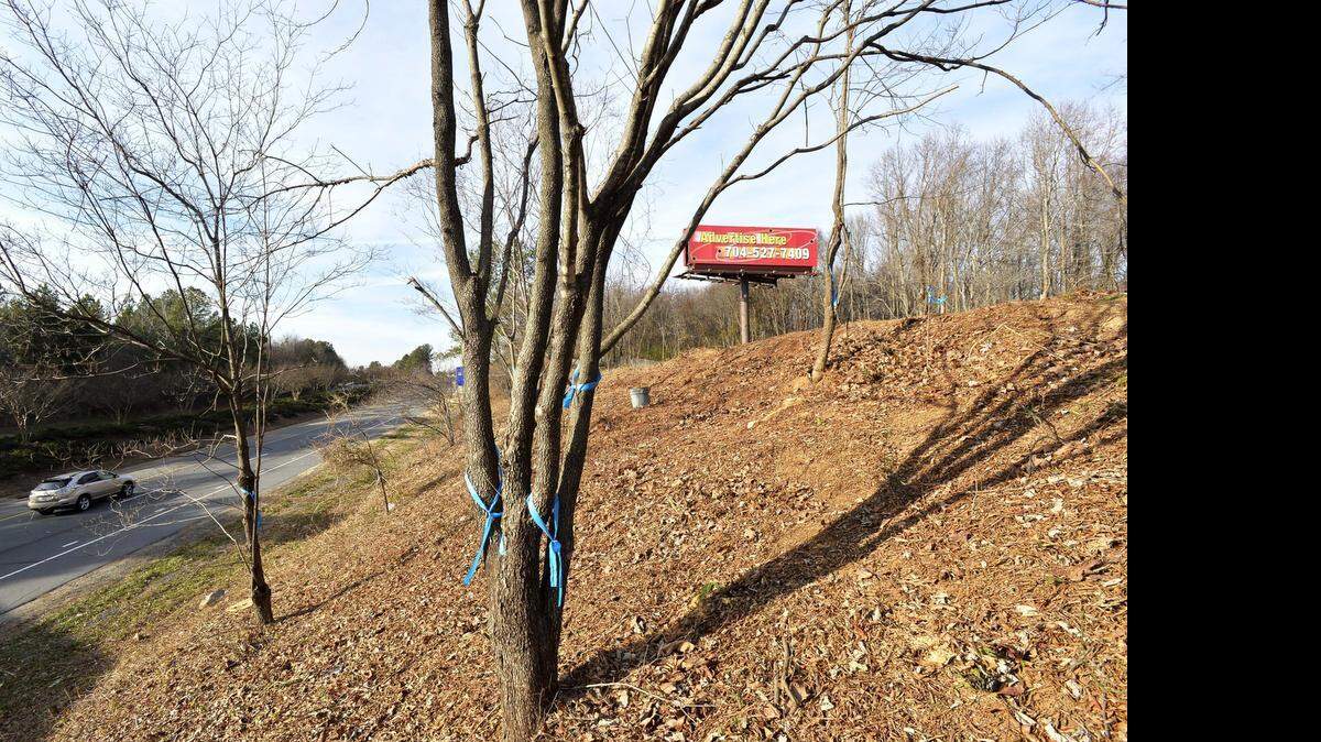 
A new N.C. bill would let billboard companies do more of what they want, including cutting trees, regardless of local ordinances.
