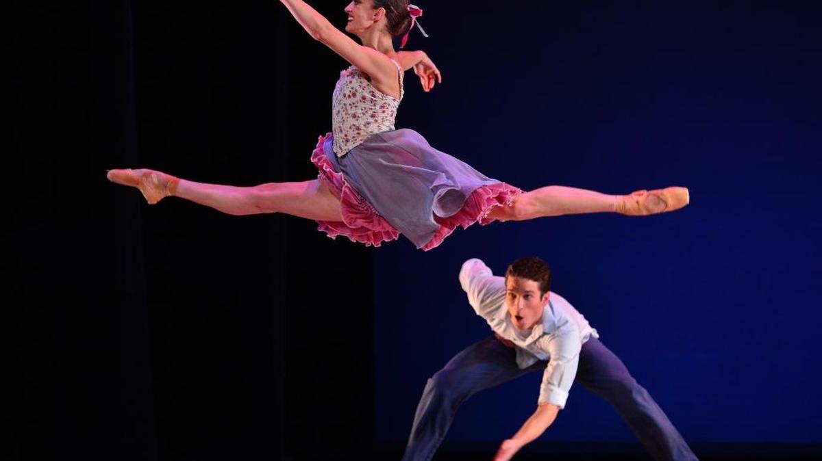 The Charlotte Ballet and other arts groups rely on the Arts & Science Council for financial support.