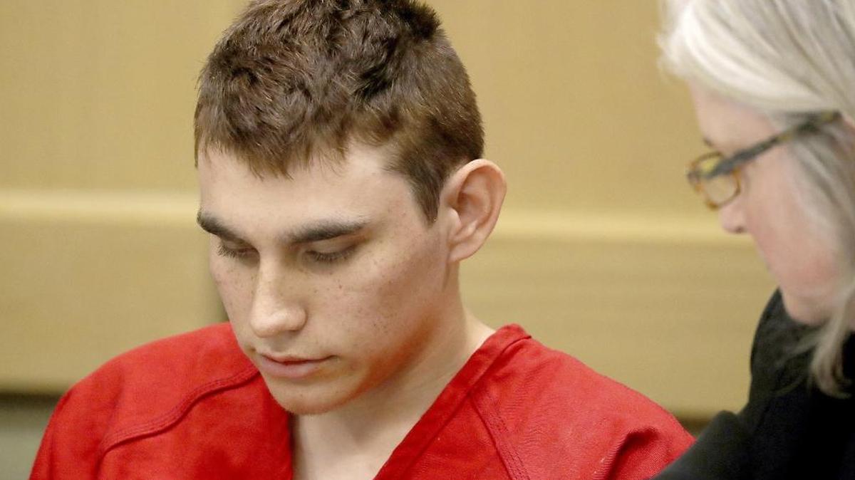 What led to Nikolas Cruz killing 17 people in Florida?