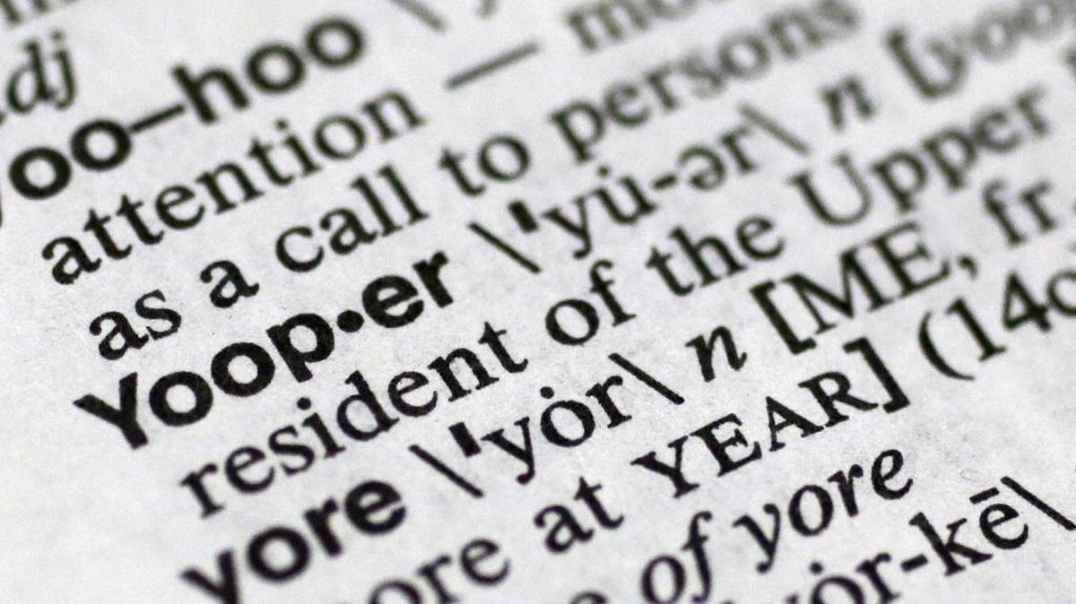With the advent of the internet and social media came data about the words we search for during elections.