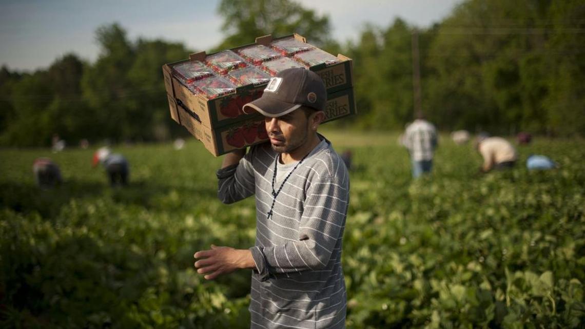 Immigrants are helping NC and its economy grow. We need a fair and just immigration policy | Opinion